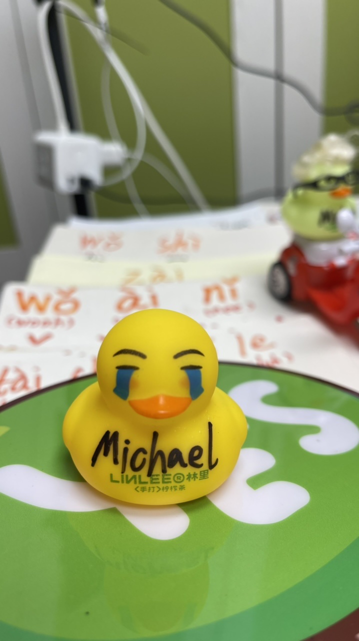 No.3 Duck