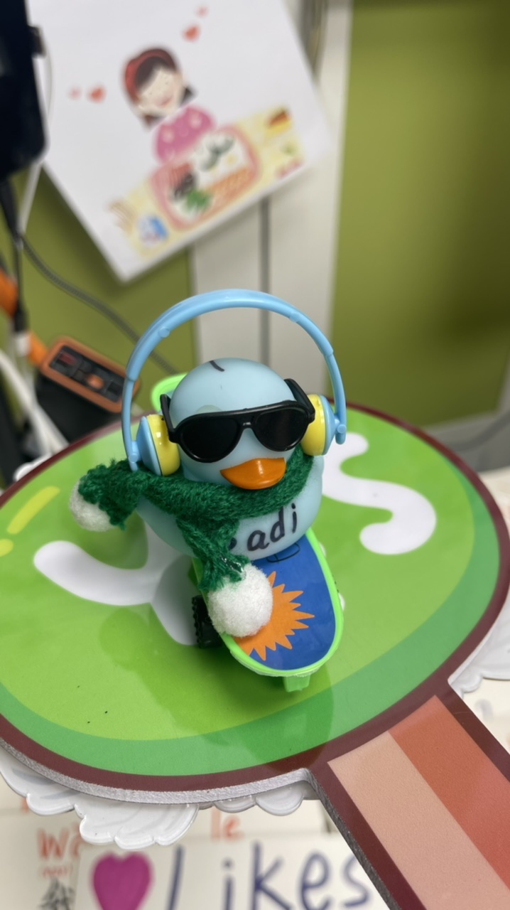 No.1 duck
