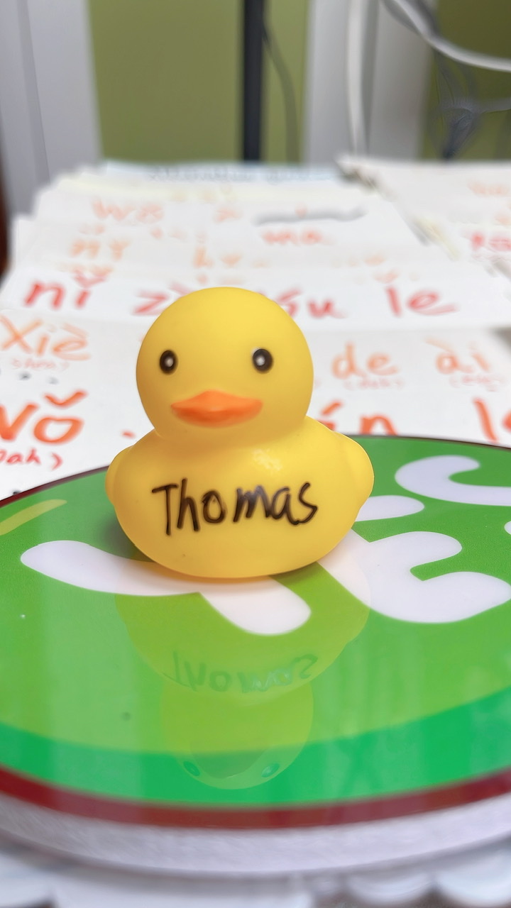 No.5 Duck