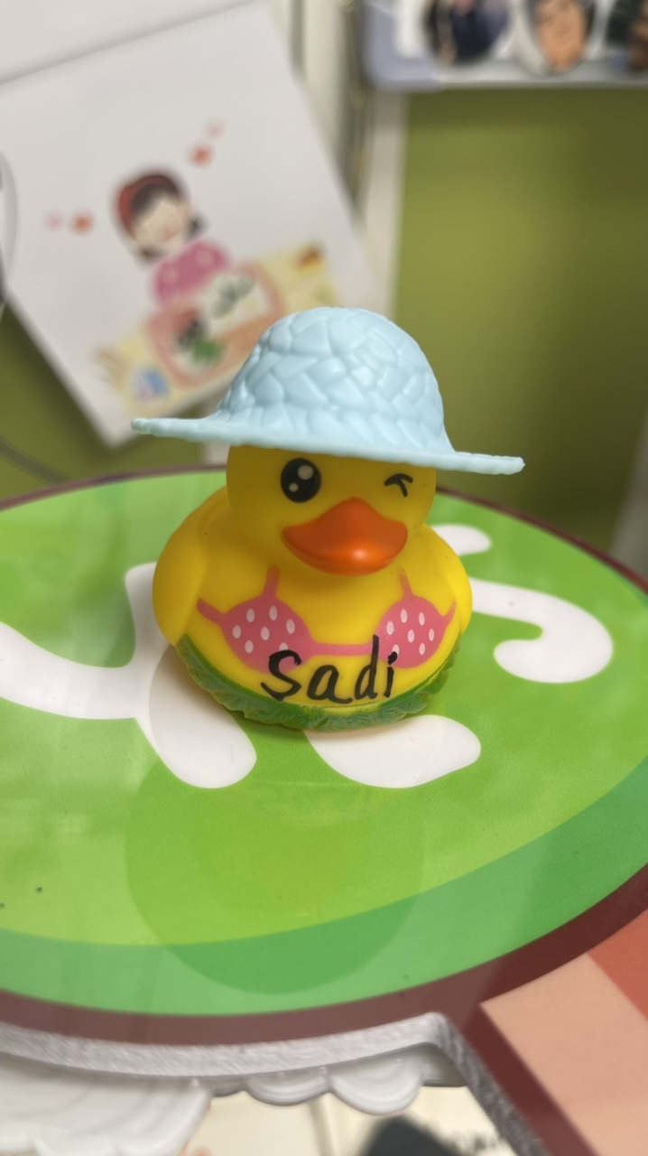 No,7 duck
