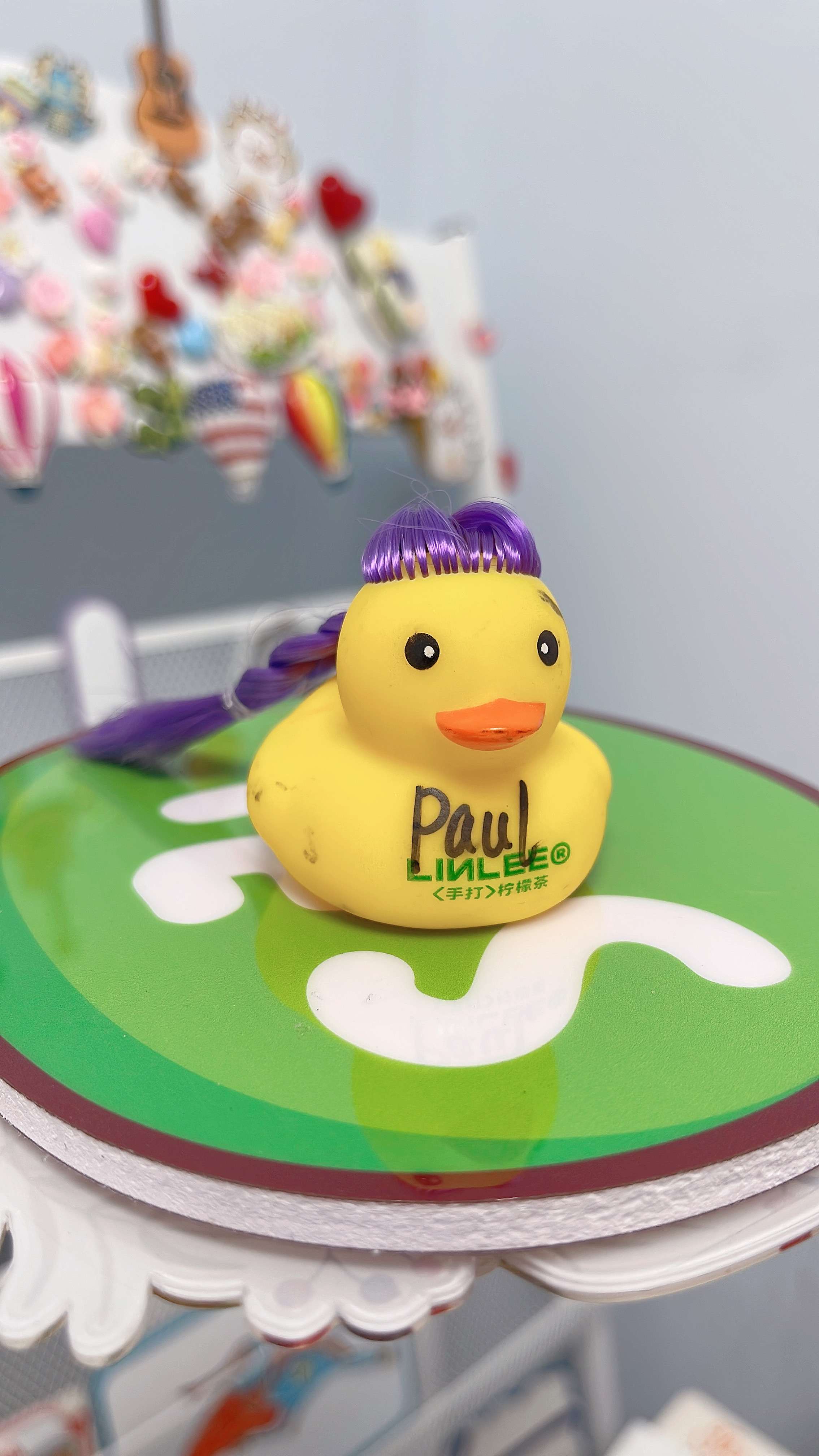 No.7 Duck