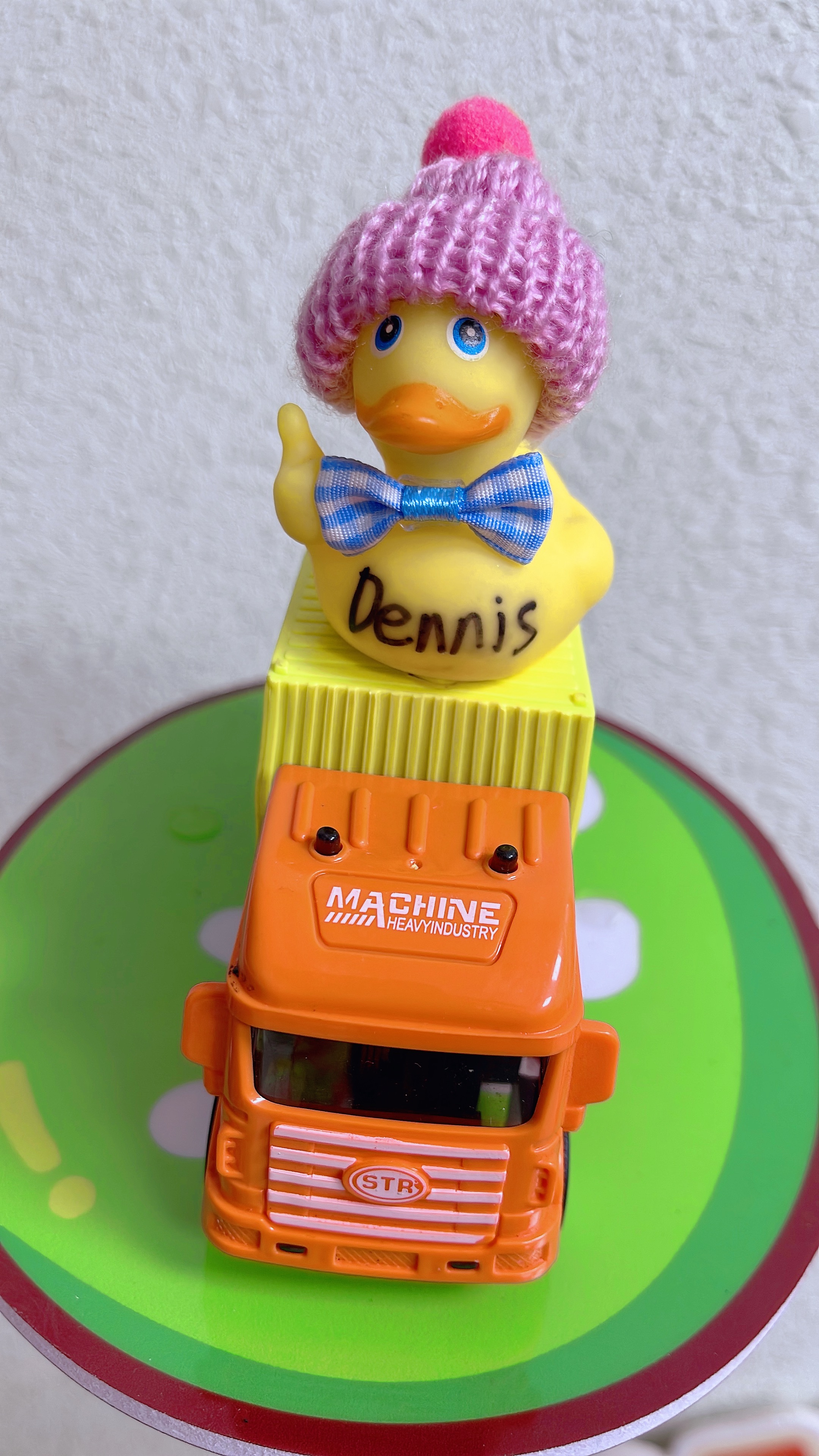 No.6 Duck