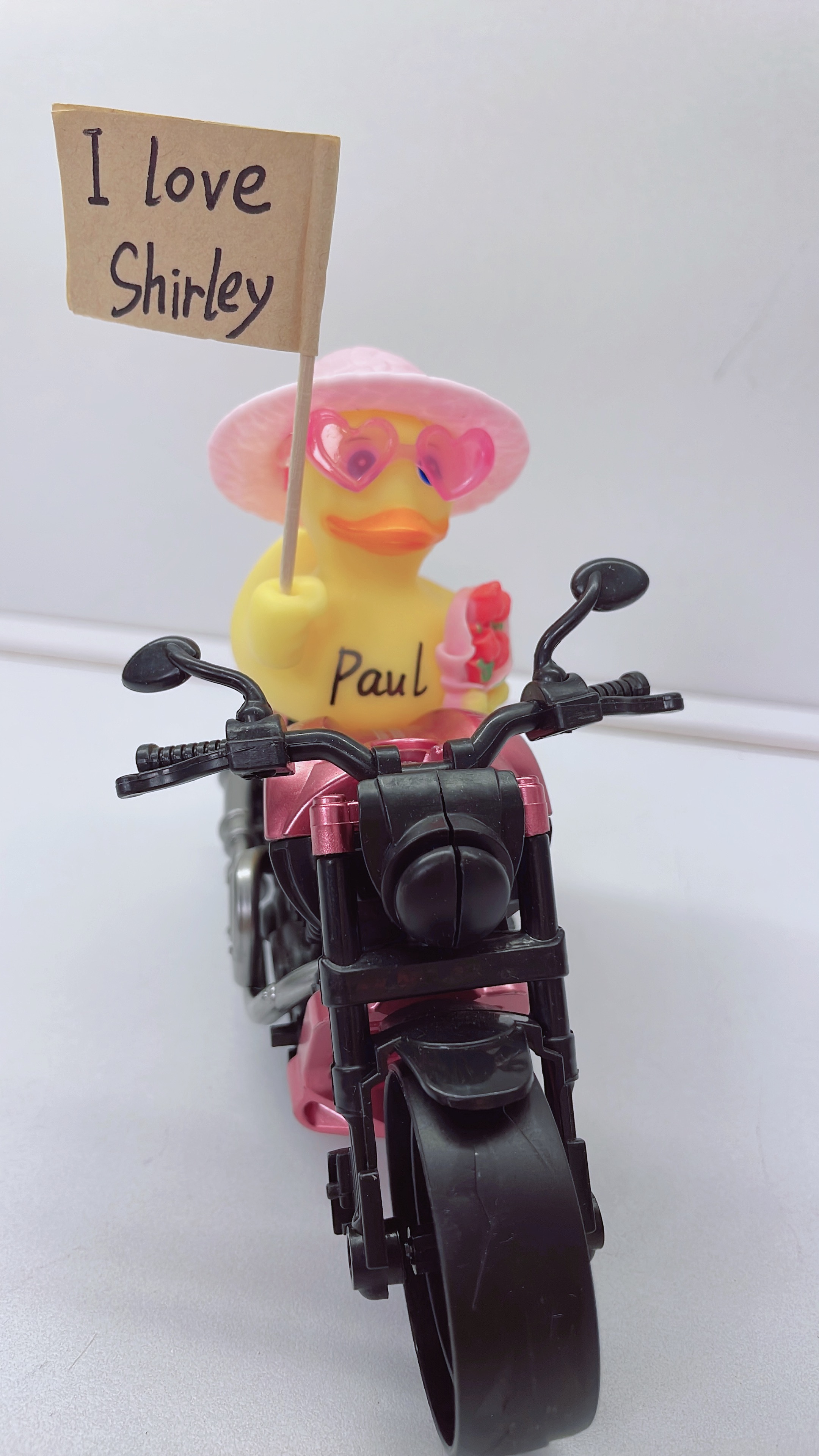 New Year Duck