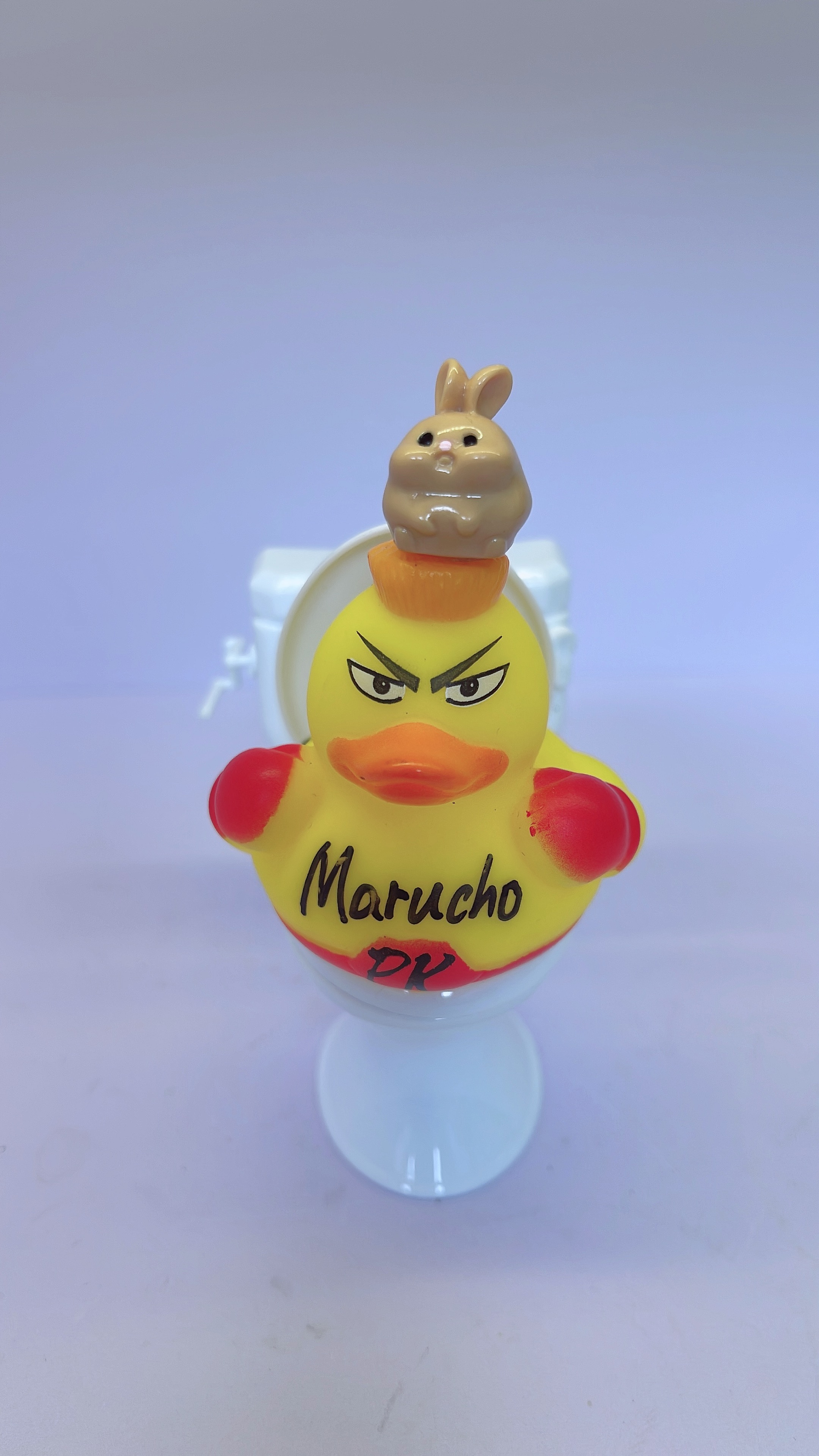 Christmas duck