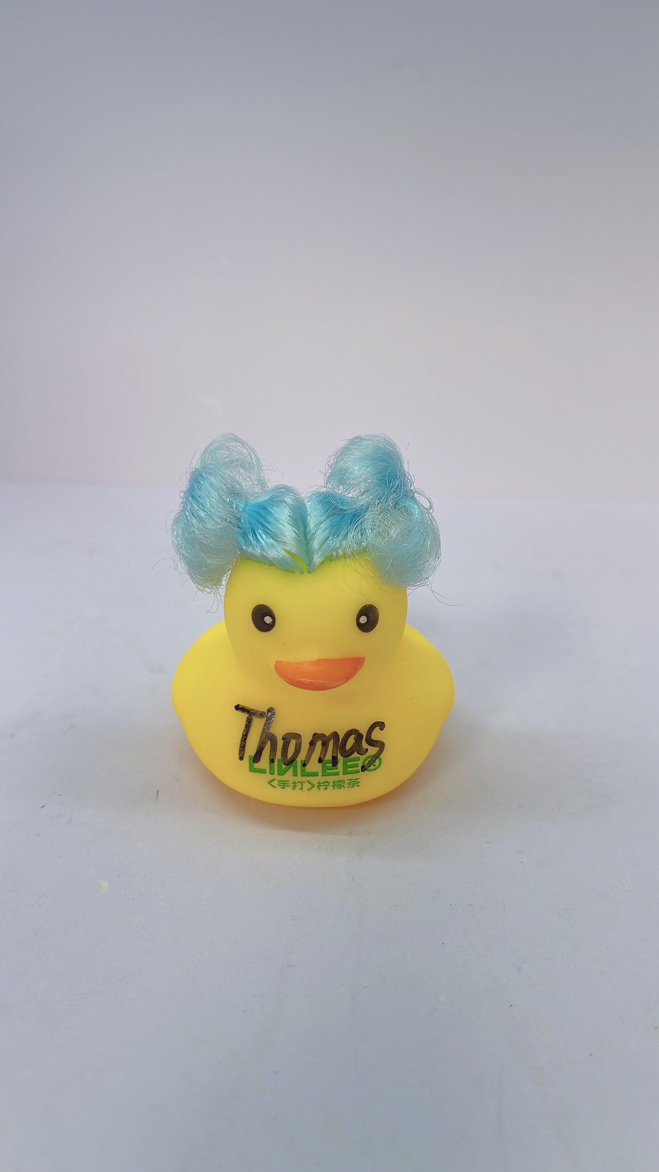 300K Duck