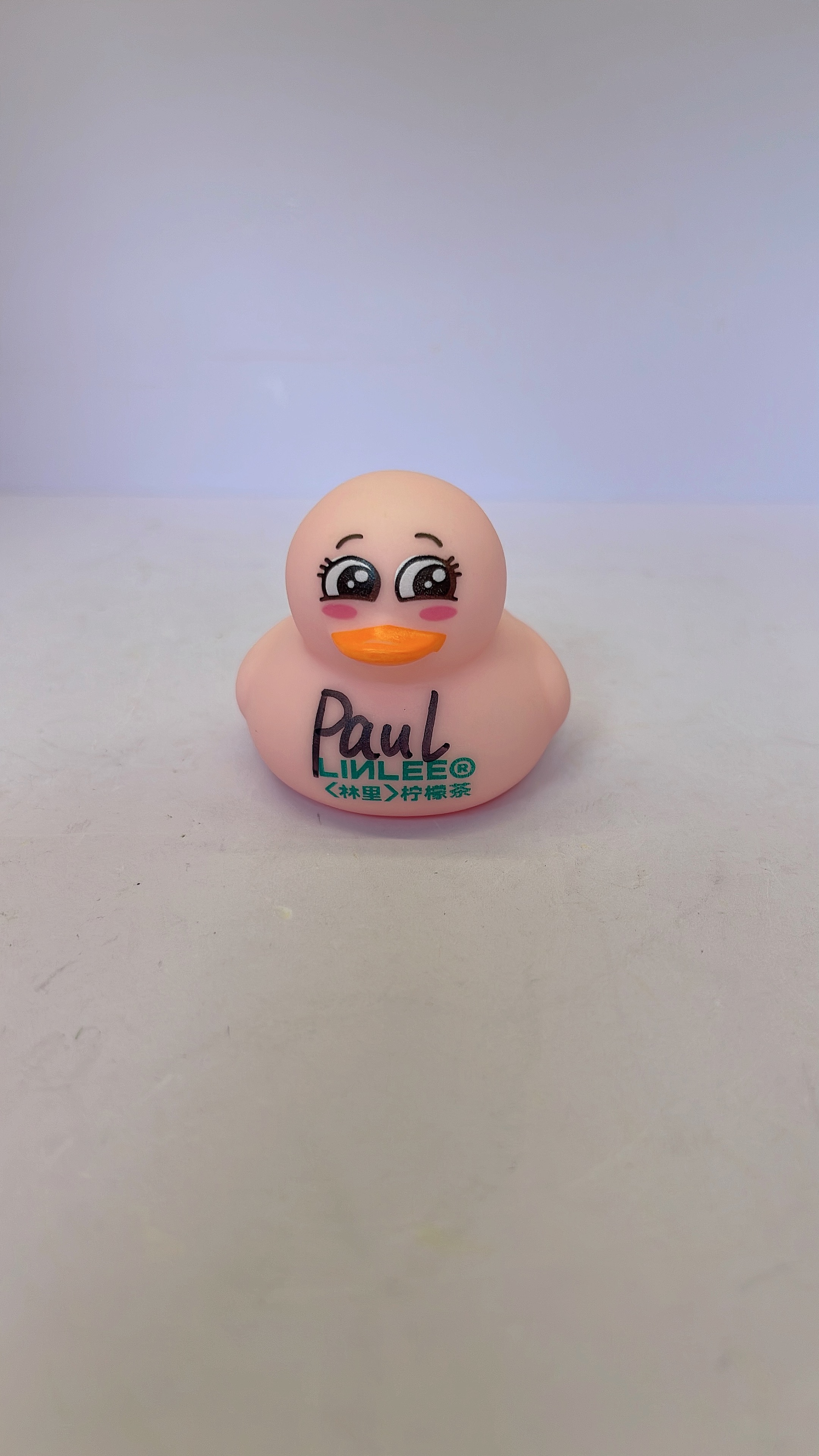 300K Duck