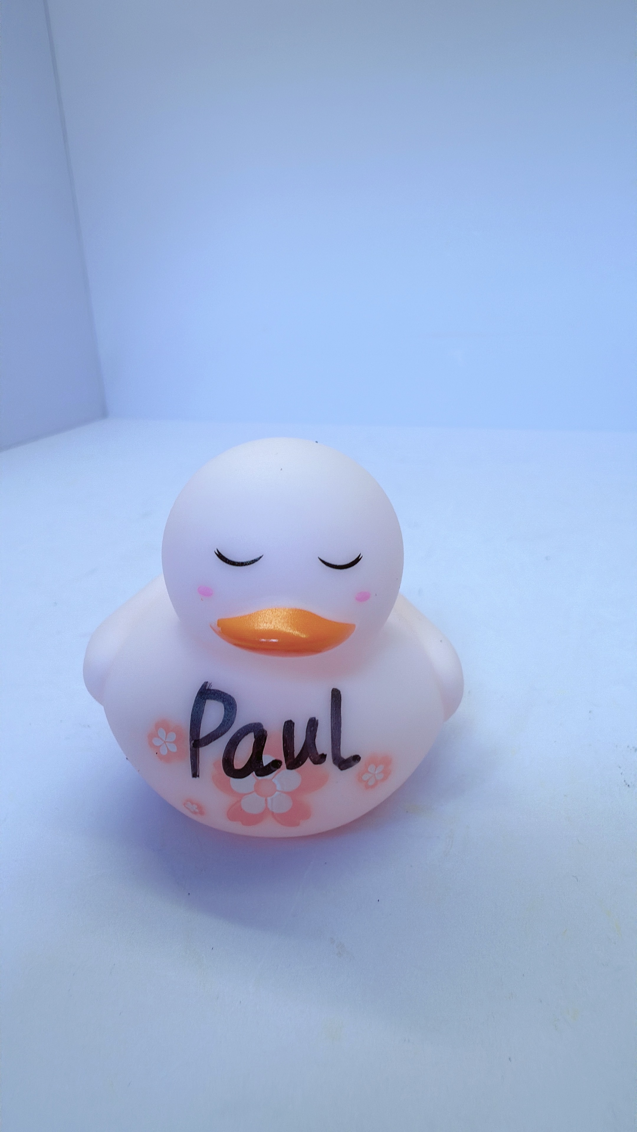 100K Duck