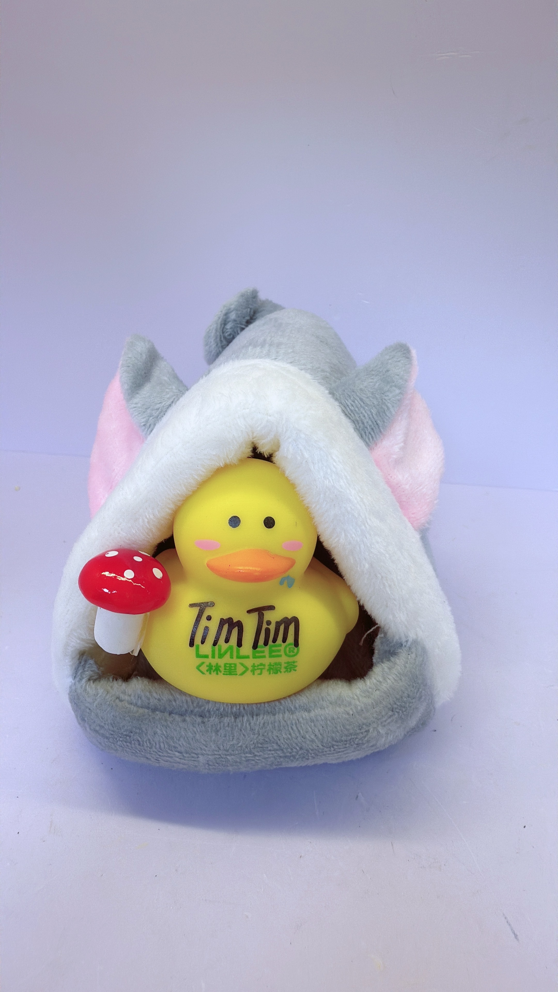 100K Duck