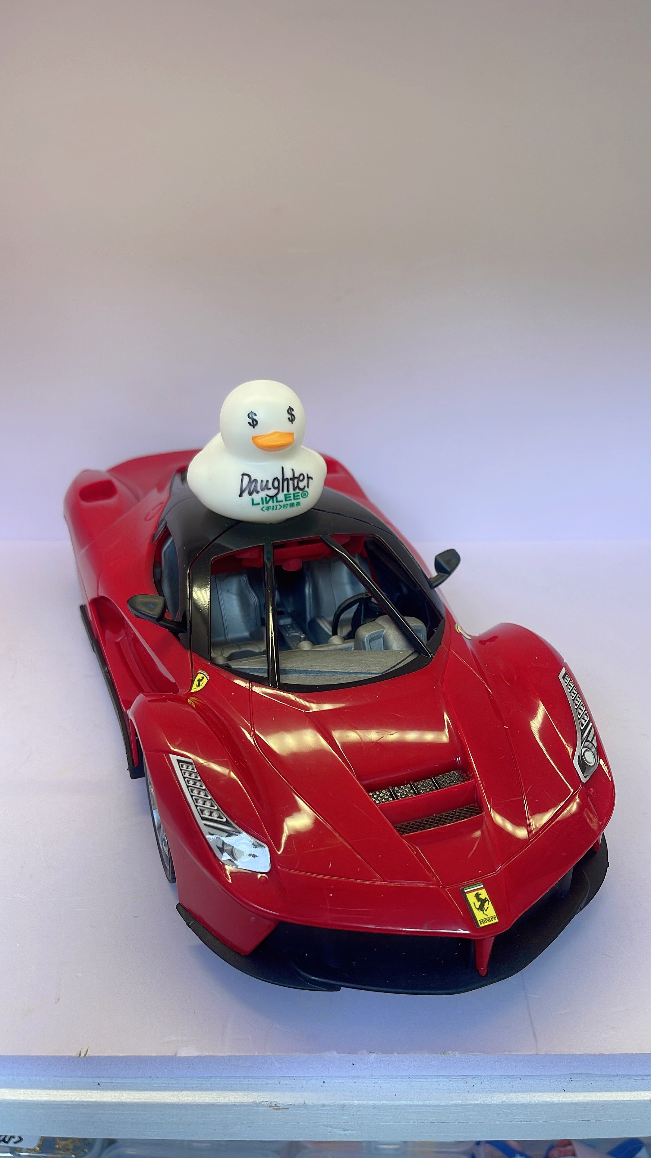 100K Duck