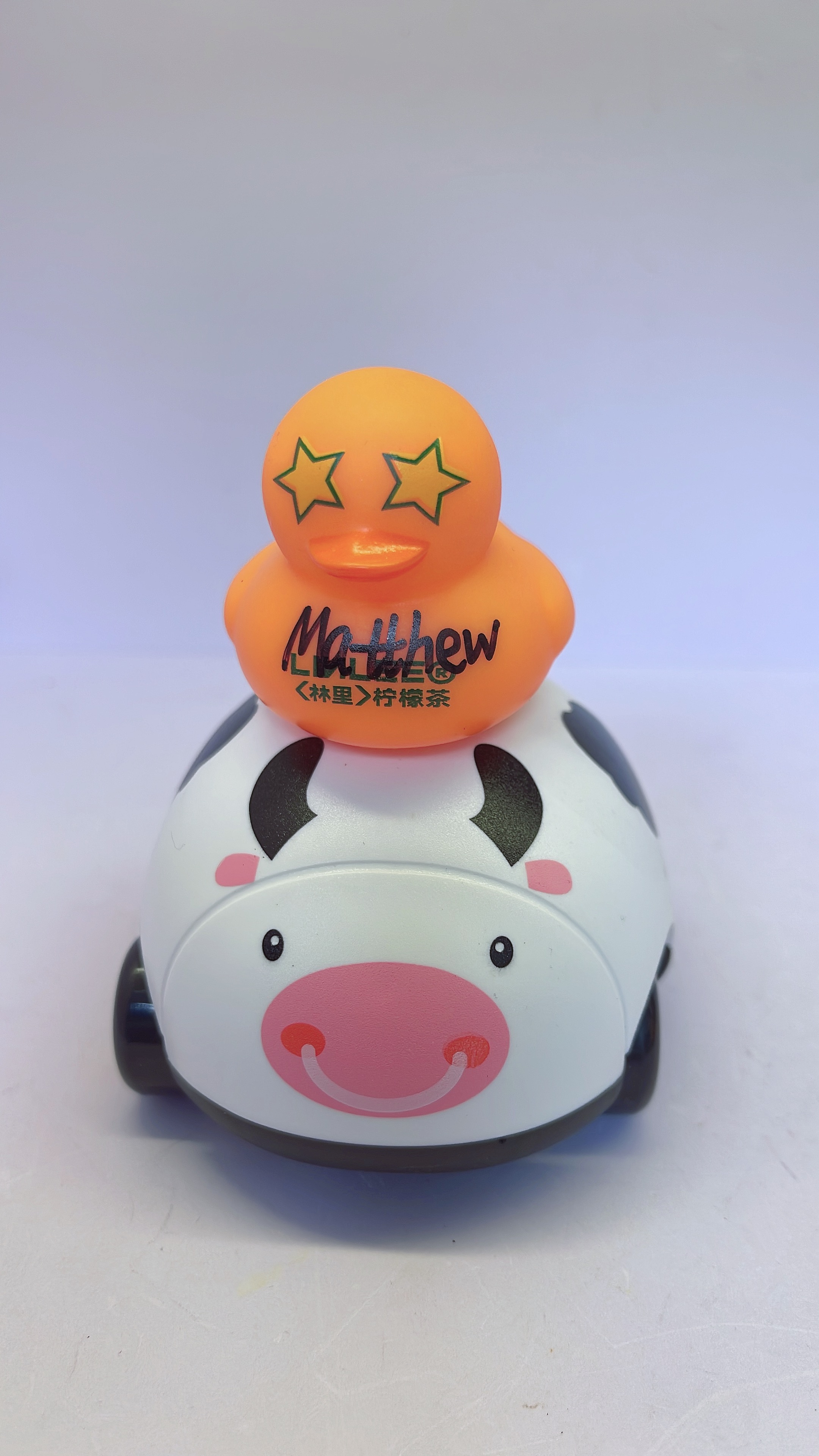 300k Duck
