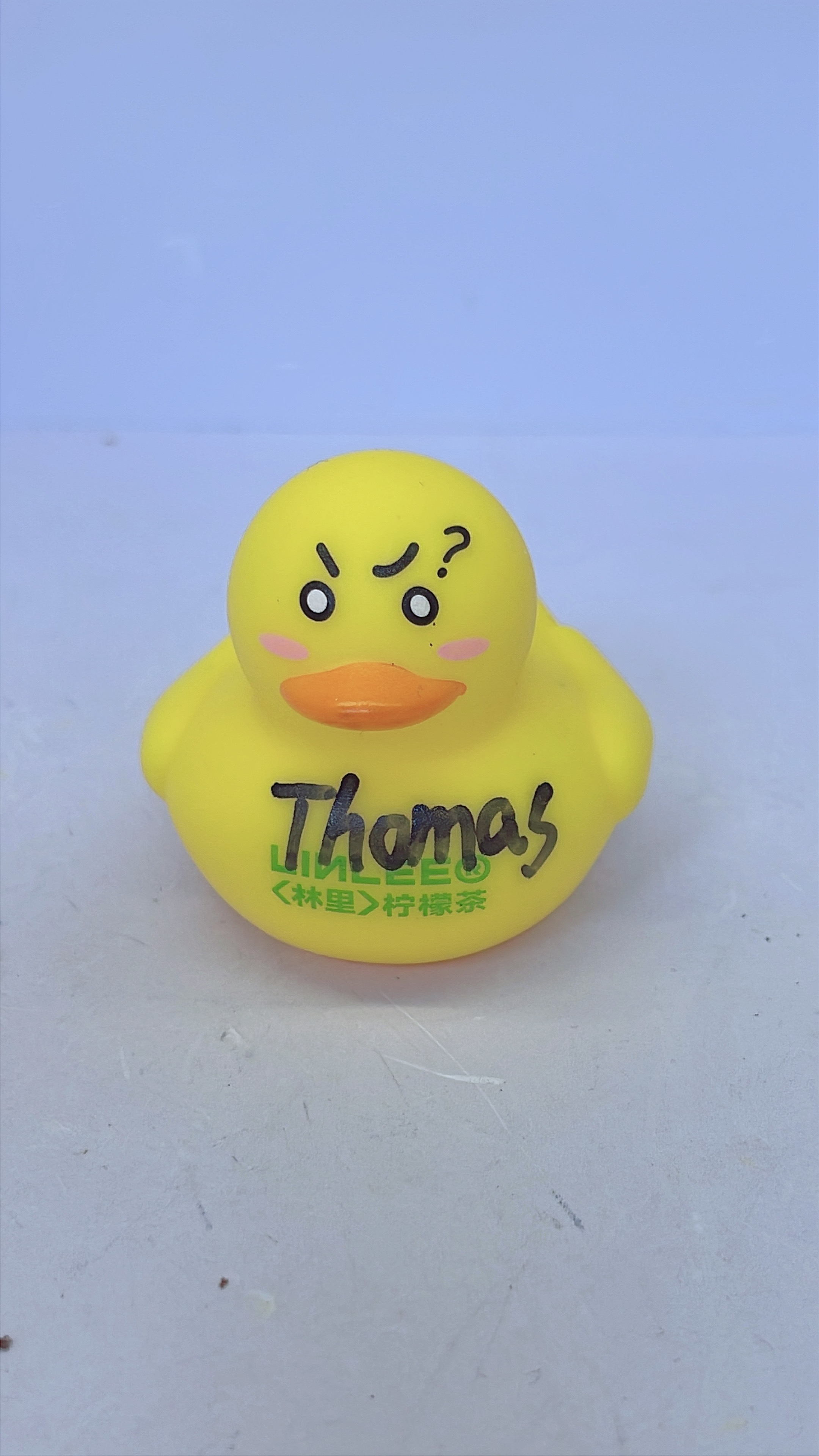 600K Duck