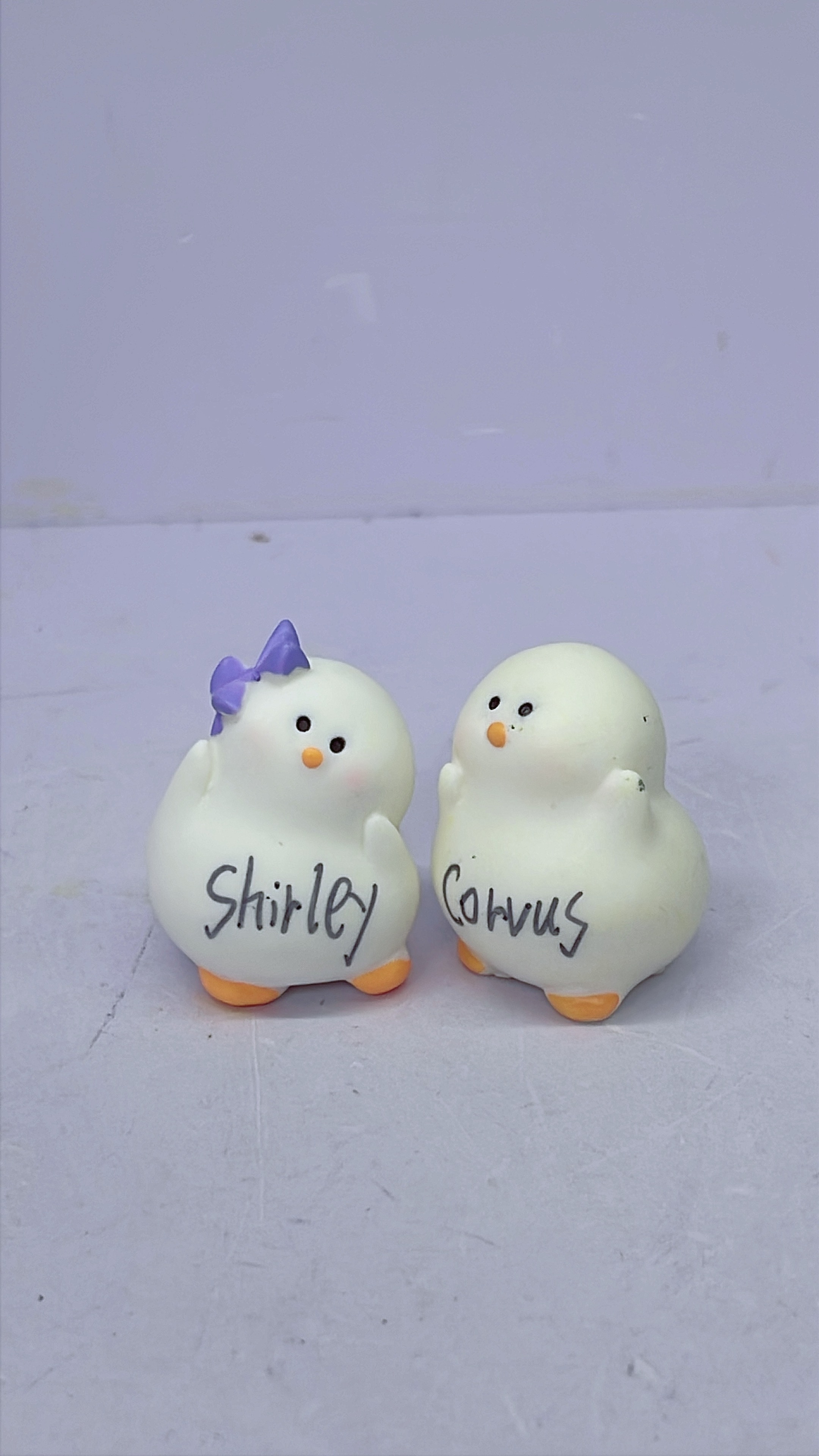 Corvus' Gift Mini Duck