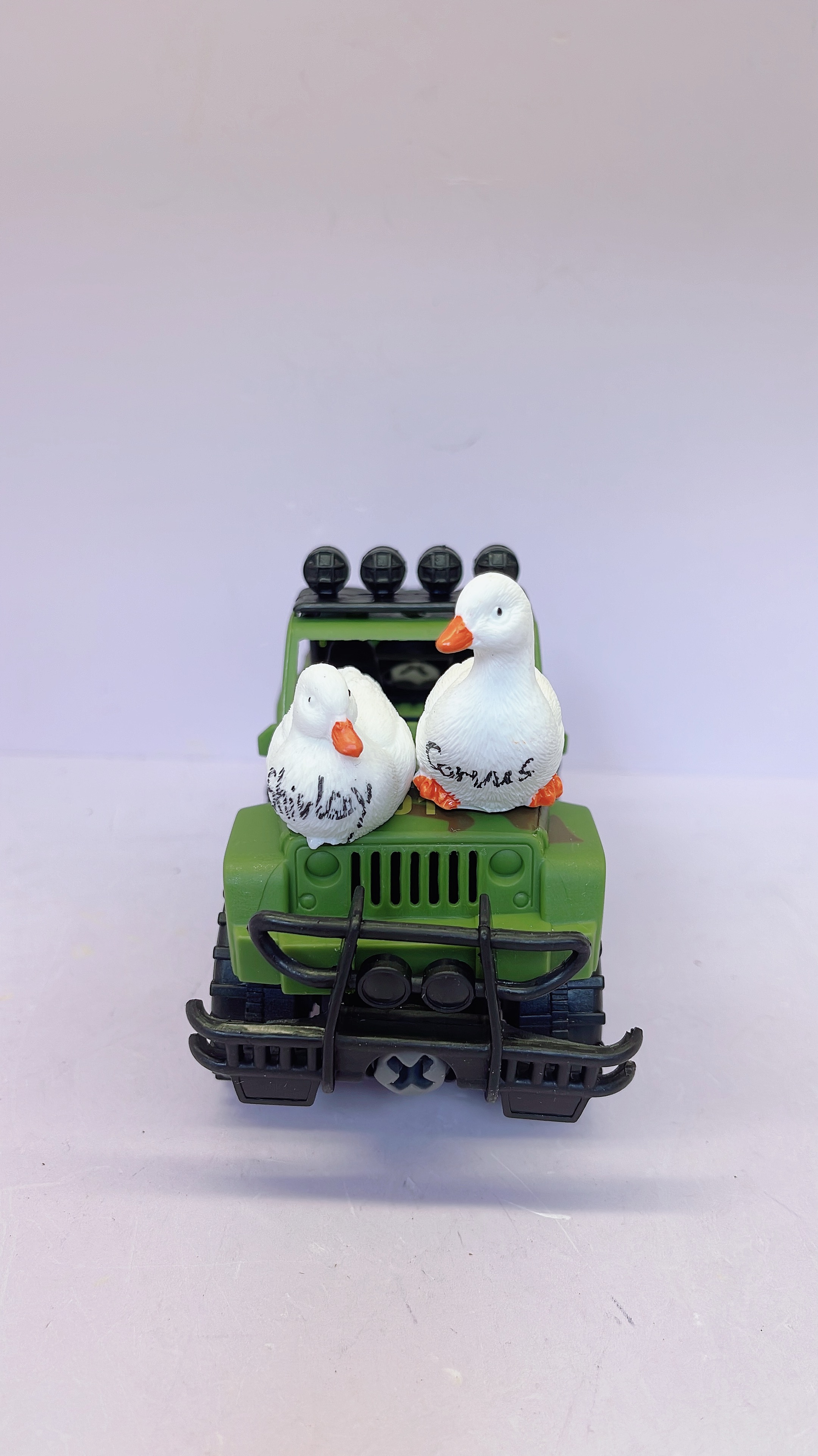 Mini Duck