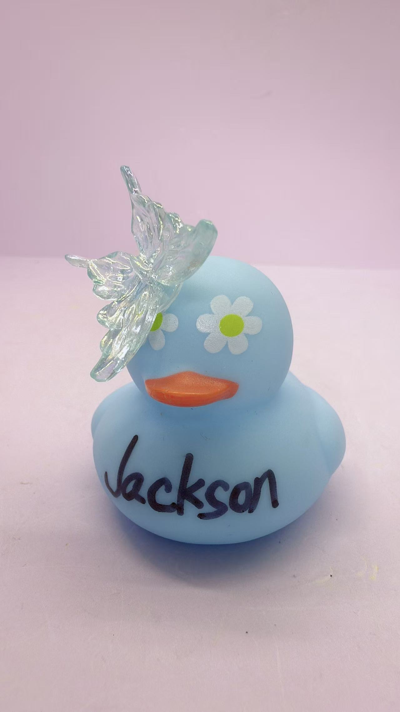 100K  Duck