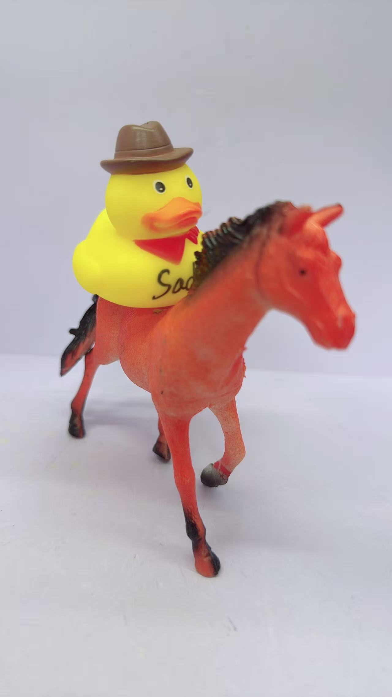 No.6 duck