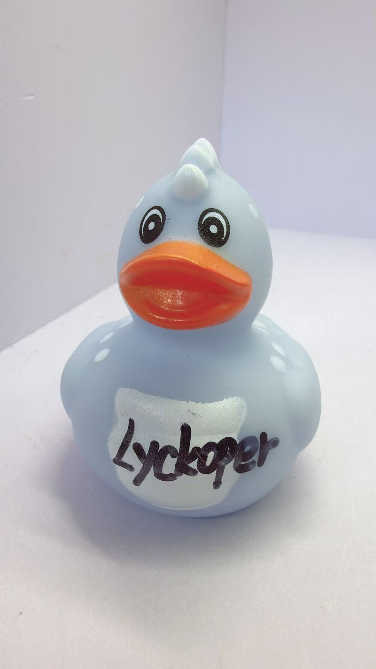 Duck