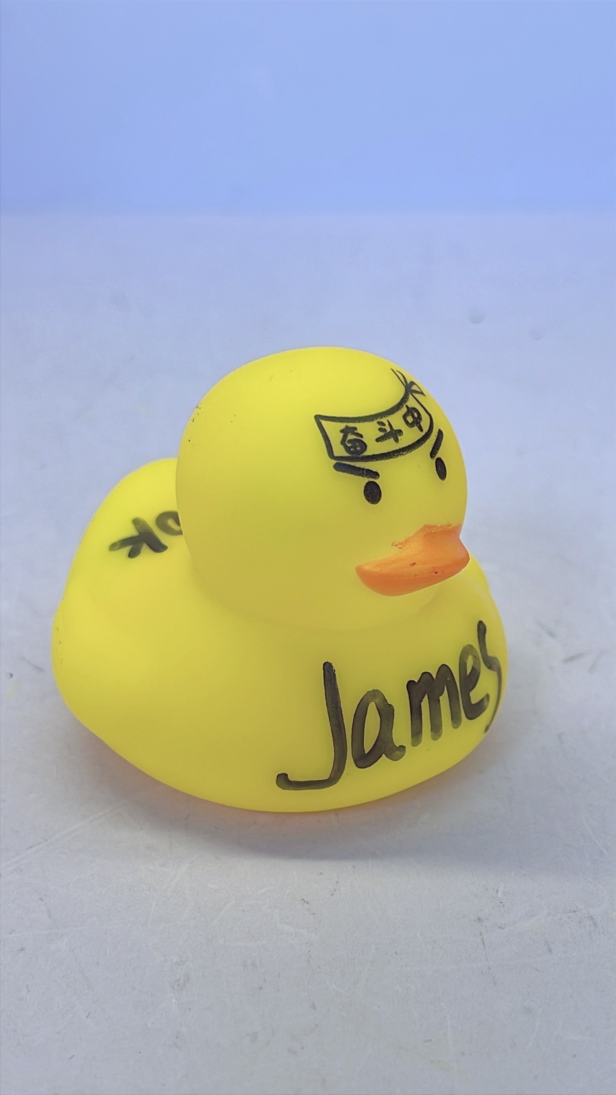 9 00K Duck